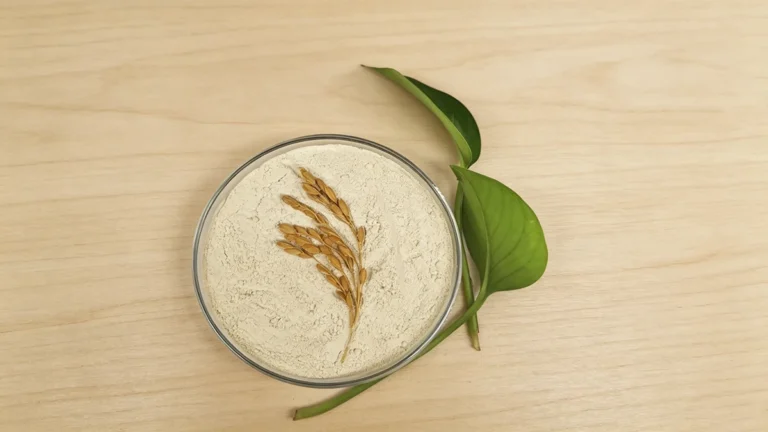 Food Grade MgO Powder as Additive for Feed and Food Processing Industry